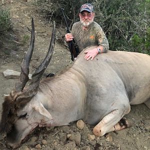 40" Eland. RSA Eastern Cape 2019