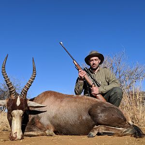 Blesbok