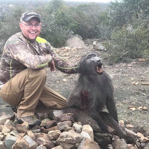 Hunt Baboon in South Africa