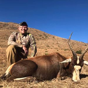 South Africa Hunt Blesbok