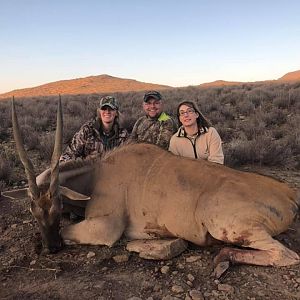 South Africa Hunting Eland