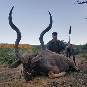 South Africa Hunting Kudu