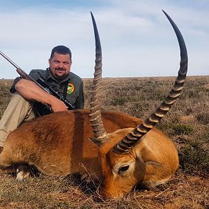 Hunt Red Lechwe in South Africa