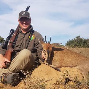 Hunting Duiker in South Africa