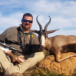 Black Springbok Hunt South Africa