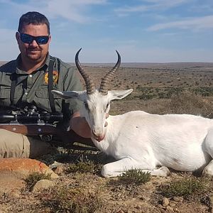 South Africa Hunt White Springbok