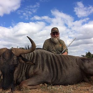 2017 safari Wildebeest