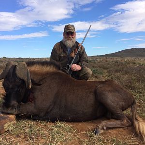 2017 safari Black Wildebeest