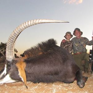 Sable Antelope Hunting South Africa