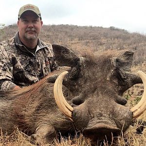 Warthog Hunt South Africa