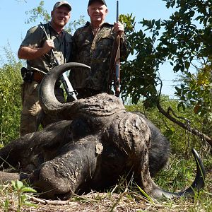 South Africa Hunt Cape Buffalo