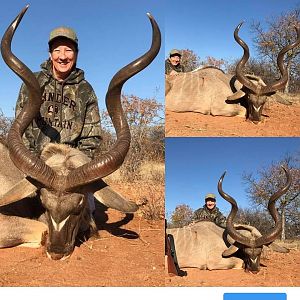 Kudu Hunting South Africa