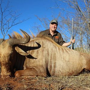 Hunting Golden Wildebeest in South Africa