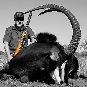 Hunting Sable in South Africa