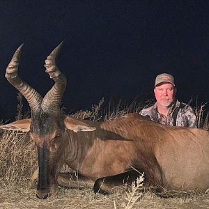 Hunting Red Hartebeest in South Africa