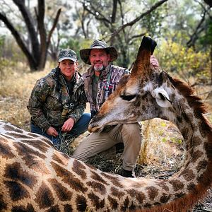 Giraffe Hunting South Africa