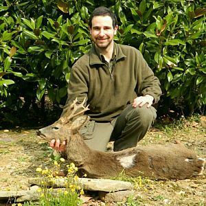 Non-Typical Roe Deer Italy