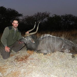 Nyala from Mpumalanga