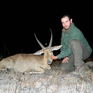 Common Reedbuck from Limpopo