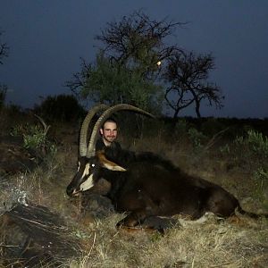 Hunting Sable South Africa