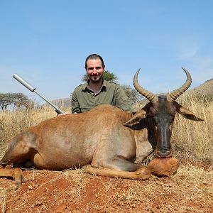 Tsessebe Hunt South Africa