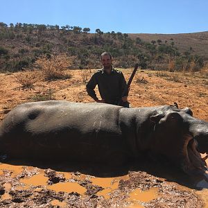 Hippo Hunt Mpumalanga