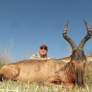 South Africa Hunting Red Hartebeest