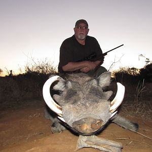 Hunting Warthog in South Africa