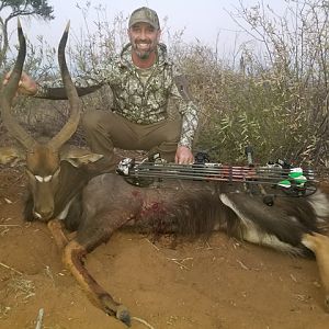 Bow Hunt Nyala in South Africa