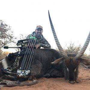 South Africa Bow Hunting Waterbuck