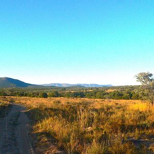 Limpopo Area South Africa