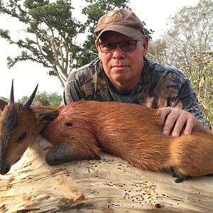 Hunt Red-flanked Duiker in Cameroon