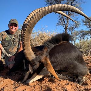 Sable Antelope Hunting Namibia