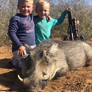 South Africa Crossbow Hunt Warthog