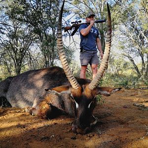 Hunt Waterbuck in South Africa