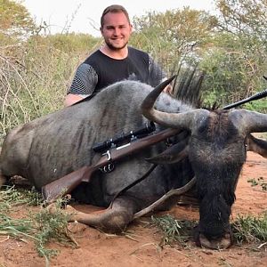 South Africa Hunting Blue Wildebeest