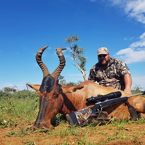 Hunt Red Hartebeest in South Africa