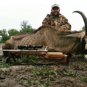 Hunting Roan in South Africa