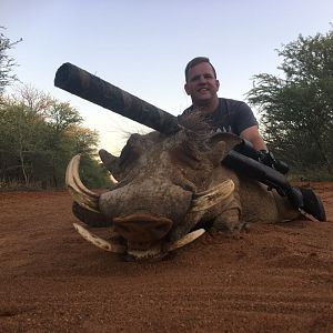 Warthog Hunting South Africa