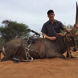 Bow Hunt Waterbuck in South Africa