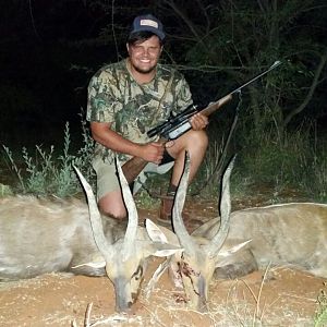 Hunting Bushbuck in South Africa