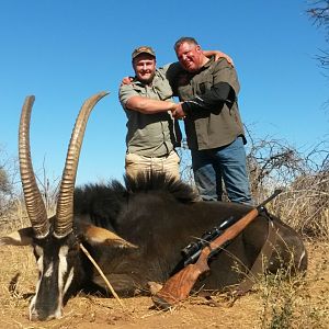 South Africa Hunting Sable Antelope