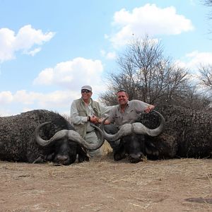 Buffalo Hunt South Africa