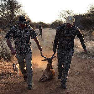 Hunt Impala in South Africa