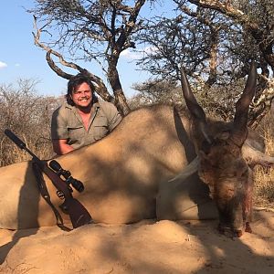 Hunt Eland in South Africa