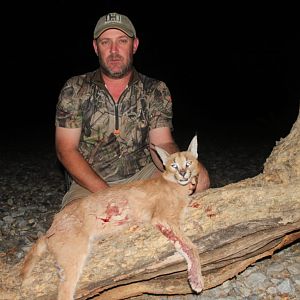 Hunting Caracal in South Africa