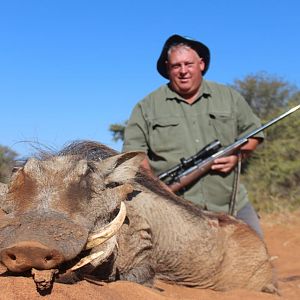 Warthog Hunting South Africa