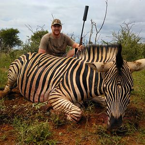 Burchell's Plain Zebra Hunt South Africa