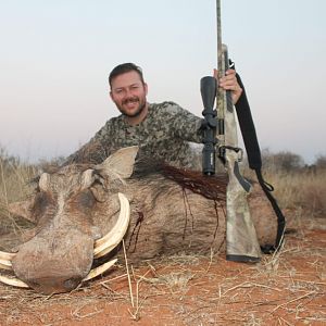 Warthog Hunt South Africa