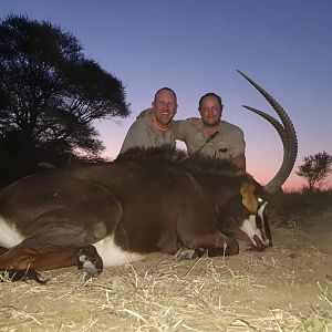 Sable Antelope Hunt South Africa